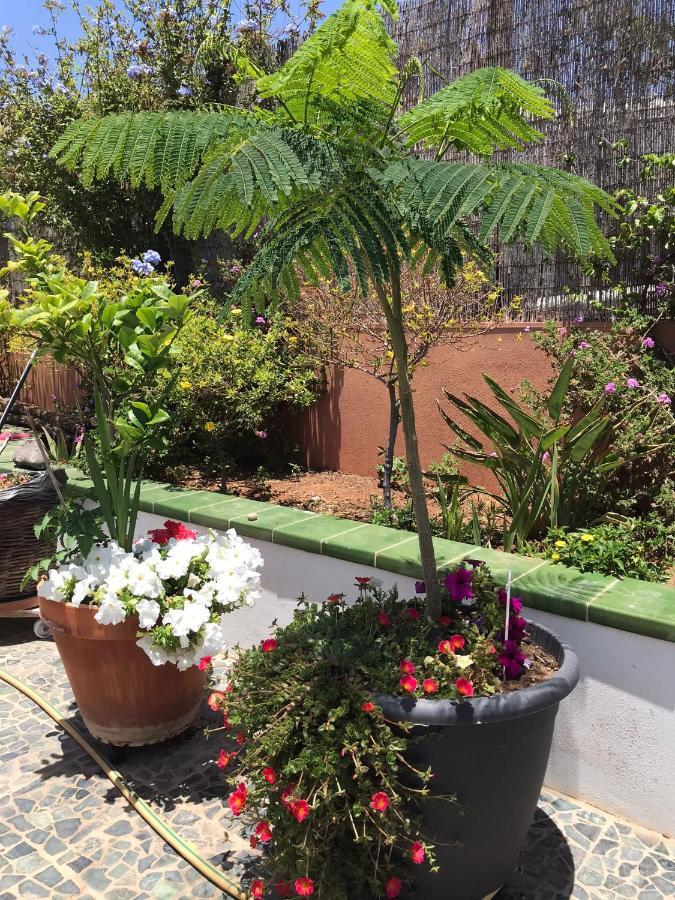 Apartamento Con Encanto En La Playa Frente Al Mar "Posada Rent House" Puerto del Rosario  Eksteriør billede